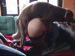 Doggy fucking a slut on daylight